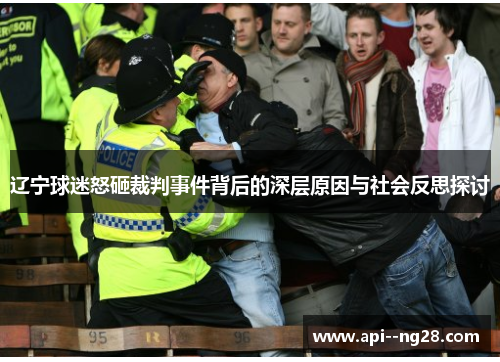 辽宁球迷怒砸裁判事件背后的深层原因与社会反思探讨