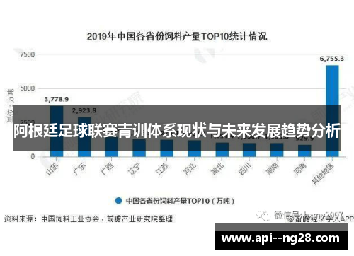 阿根廷足球联赛青训体系现状与未来发展趋势分析